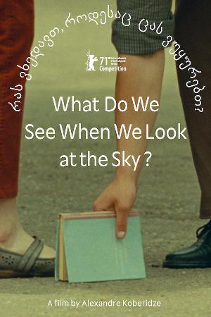 Постер к Что мы видим, когда смотрим на небо? (2021)