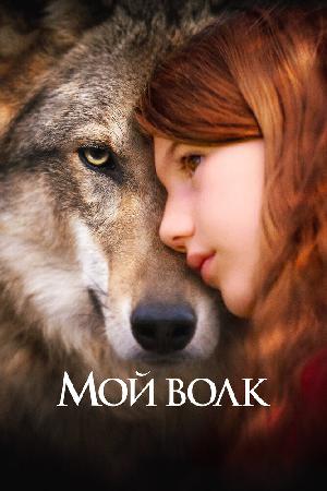 Постер к Мой волк (2021)