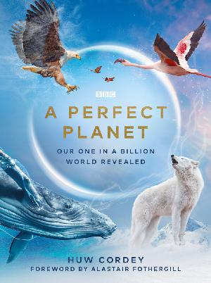 Постер к Идеальная планета 