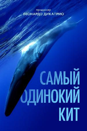 Постер к Самый одинокий кит на планете: в поисках Пятидесятидвухгерцового кита 