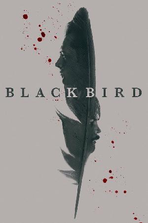 Постер к Чёрная птица (2022)