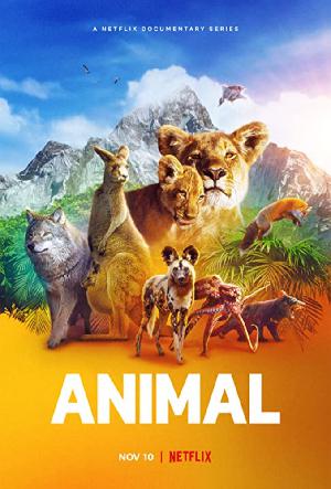 Постер к Удивительные животные 